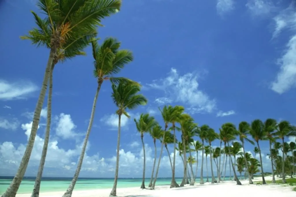 度假村 Alsol Tiara Cap Cana (Adults Only) 蓬塔卡纳